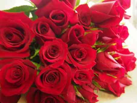 幸せを呼び込む 薔薇のパワーを取り入れて恋愛運を高めましょう 恋愛プレス